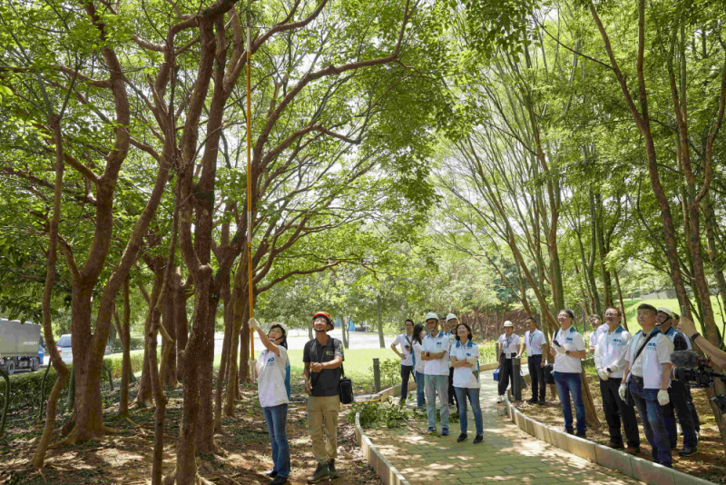 藝師教導大家認識樹木、檢查樹的健康狀況，學習修枝及碎枝覆土